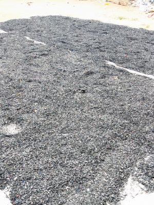 PXL_20230816_083230161